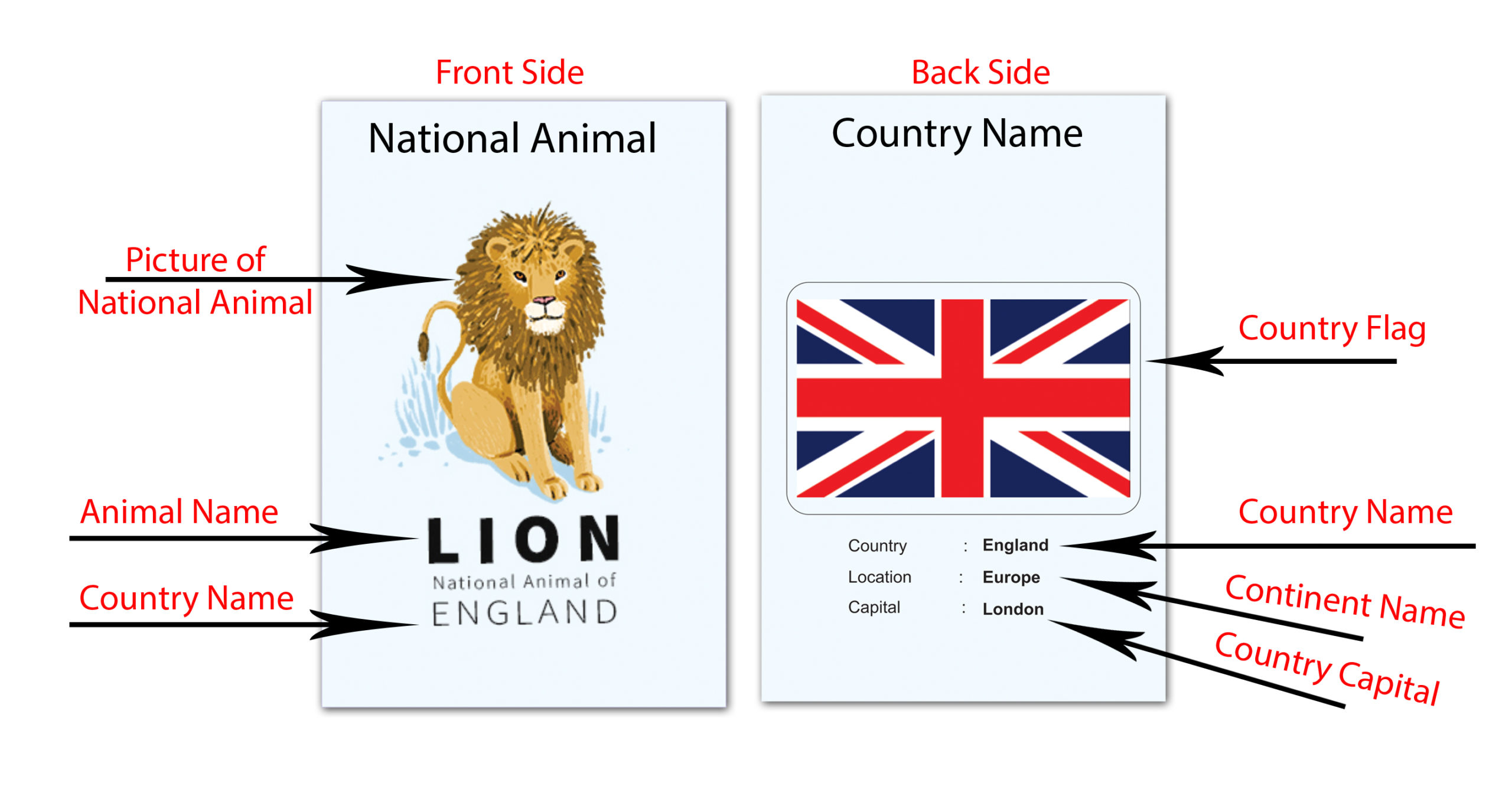 GAMESHUB – Country Flags With National Animals & World Map – School Megamart